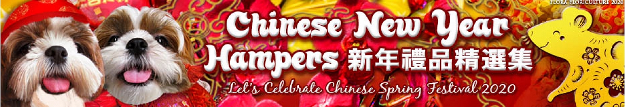 農曆新年禮物籃 | 賀年禮物籃 | 新年禮物籃 | 賀年水果籃 | 蝴蝶蘭 | 蘭花 | 年花