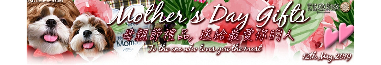 母親節禮品2019
