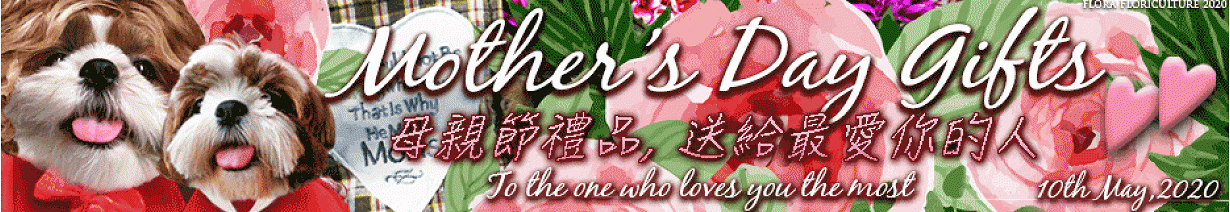 母親節禮品2020