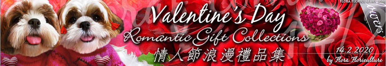 情人節禮品