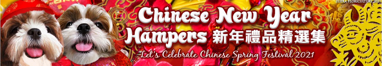 農曆新年禮物籃 | 賀年禮物籃 | 新年禮物籃 | 賀年水果籃 | 蝴蝶蘭 | 蘭花 | 年花