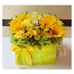 FD-A13-S 鮮花盒花 向日葵盒花 太陽花盒花 惠蘭盒花  FD-A13-S 鮮花盒花 向日葵盒花 太陽花盒花 惠蘭盒花