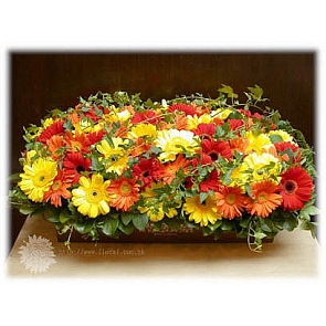 A98-68  送禮鮮花花盒 - 什色太陽菊 A98-68  送禮鮮花花盒 - 什色太陽菊