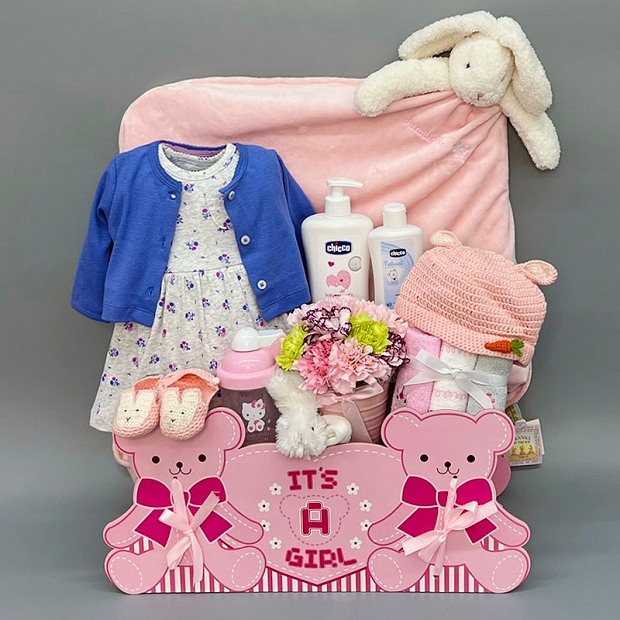Baby Gift Baby Girl New Order New Born Baby Girl Gift B306 Baby Girl Hamper