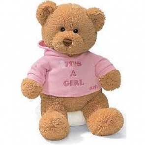 ADD-BB109   Gund It's a Girl 恭賀BB女誕生泰迪Bear Bear熊仔  ADD-BB109   Gund It's a Girl 恭賀BB女誕生泰迪Bear Bear熊仔