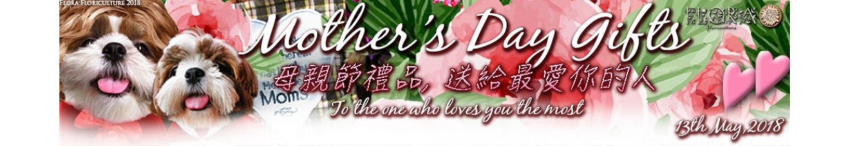 母親節禮品 2018