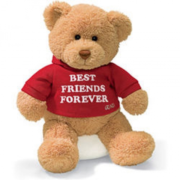 friends forever teddy bear