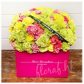 MD188    康乃馨 母親節花禮盒