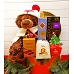 X21  Godiva Chocolate + Gund Chocolate Teddy Bear