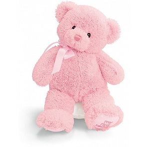 ADD-BB101 安全嬰兒玩具 Baby Gund 我的第一 粉色10吋泰迪熊 ADD-BB101 安全嬰兒玩具 Baby Gund 我的第一 粉色10吋泰迪熊