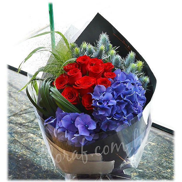 BO7  肯雅紅玫瑰 + 荷蘭繡球花束