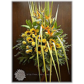 OP29  肯雅黄玫瑰 + 天堂鳥 + 向日葵 恭賀花籃 OP29  肯雅黄玫瑰 + 天堂鳥 + 向日葵 恭賀花籃