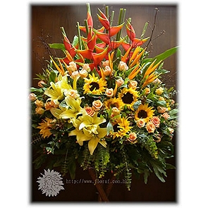 OP30  肯雅粉橙色玫瑰 + 蟹鉗 恭賀花籃 OP30  肯雅粉橙色玫瑰 + 蟹鉗 恭賀花籃