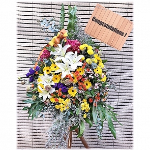 OP62-A  Grand Opening Congratulations Flower Basket Stand  OP62-A  Grand Opening Congratulations Flower Basket Stand